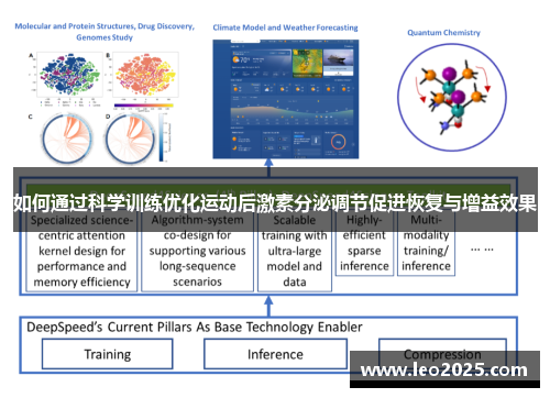 如何通过科学训练优化运动后激素分泌调节促进恢复与增益效果